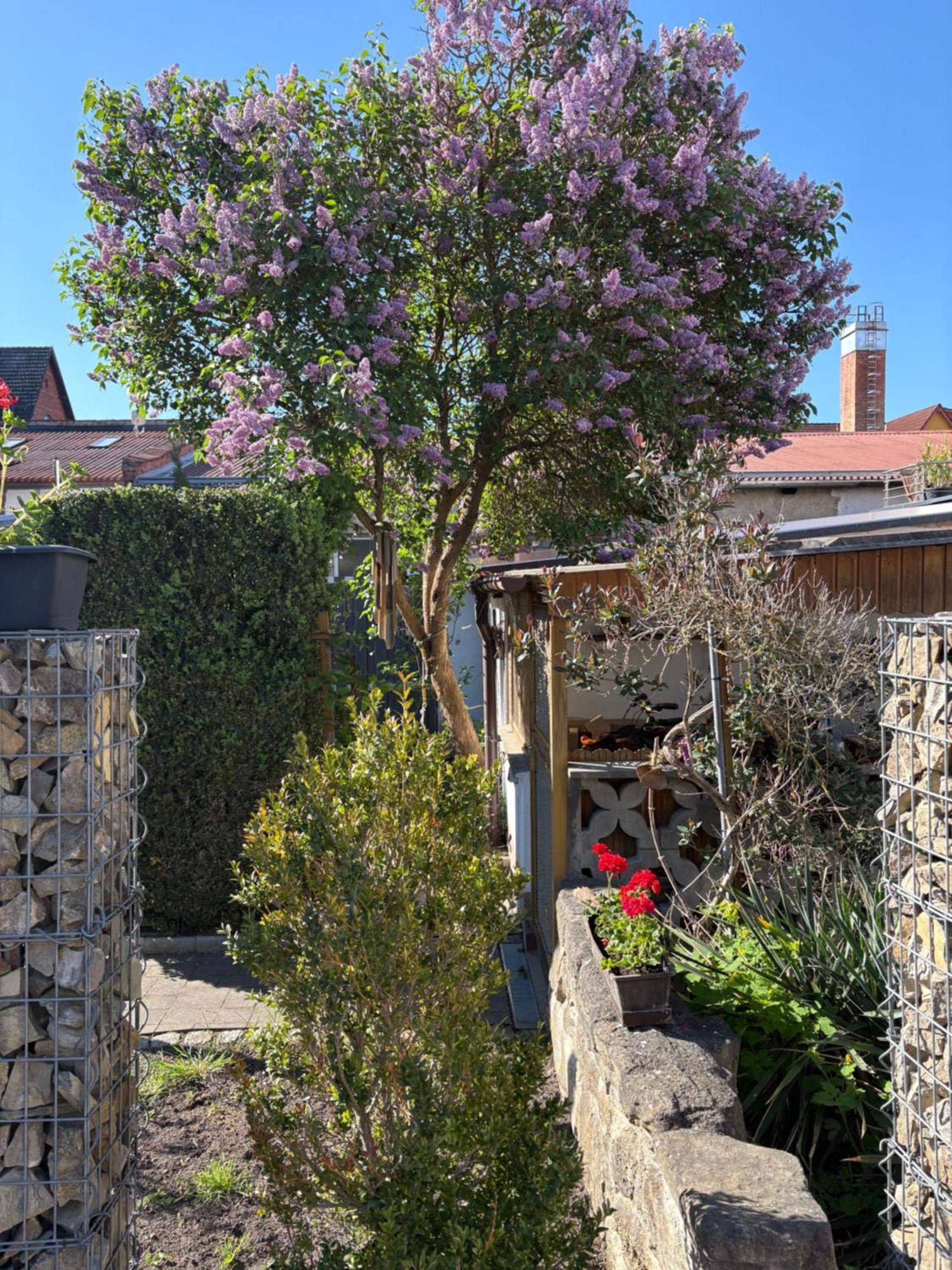 Haus Hannah Meiningen Bagian luar foto